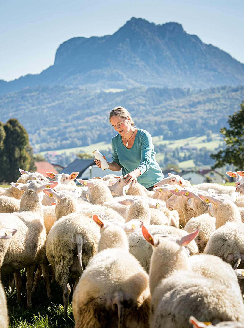 Stranzenhof bei Salzburg schmeckt