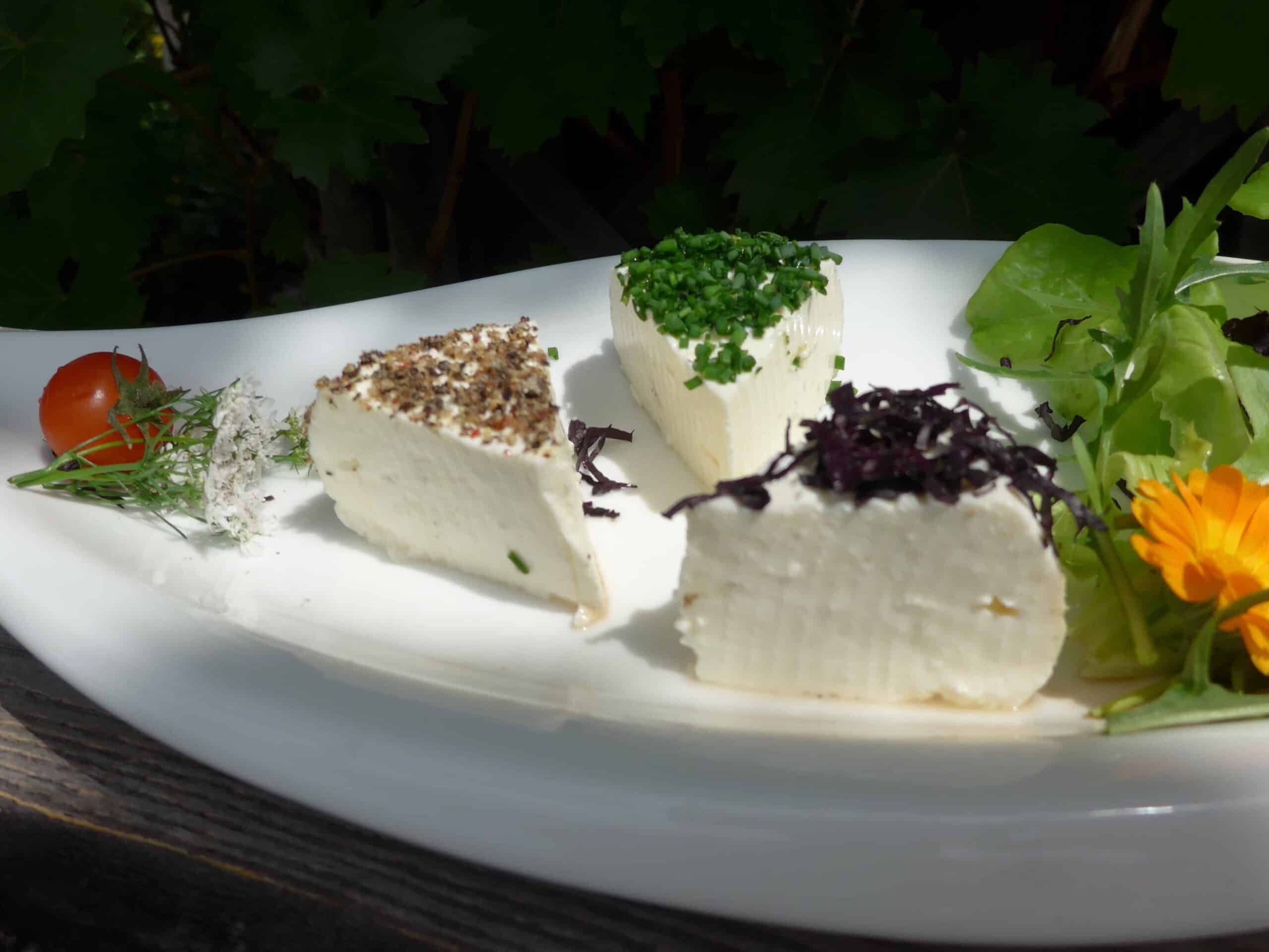 Käse bei Salzburg schmeckt