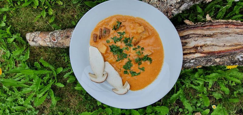 Steinpilzgulasch  bei Salzburg schmeckt