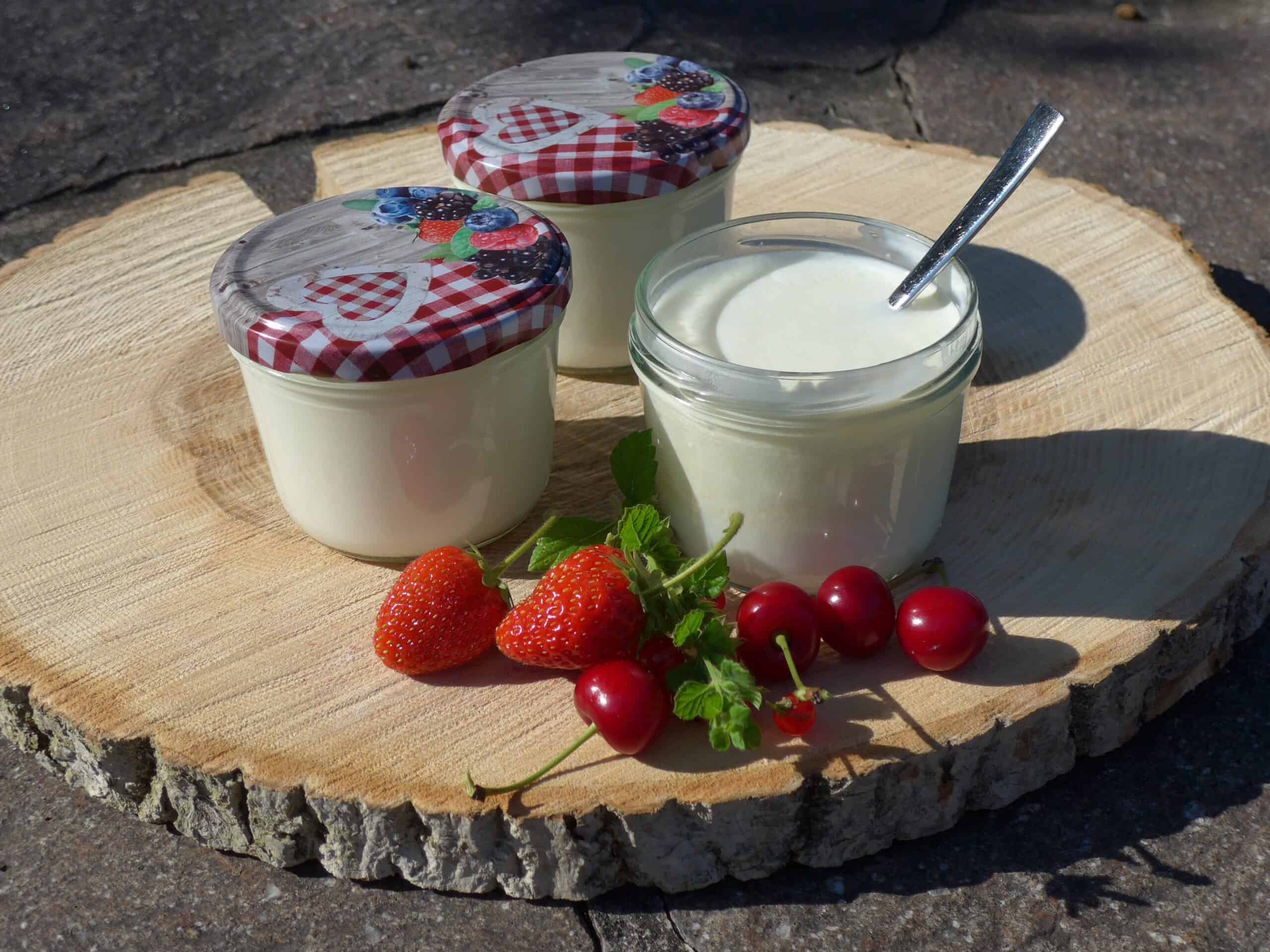 Joghurt bei Salzburg schmeckt