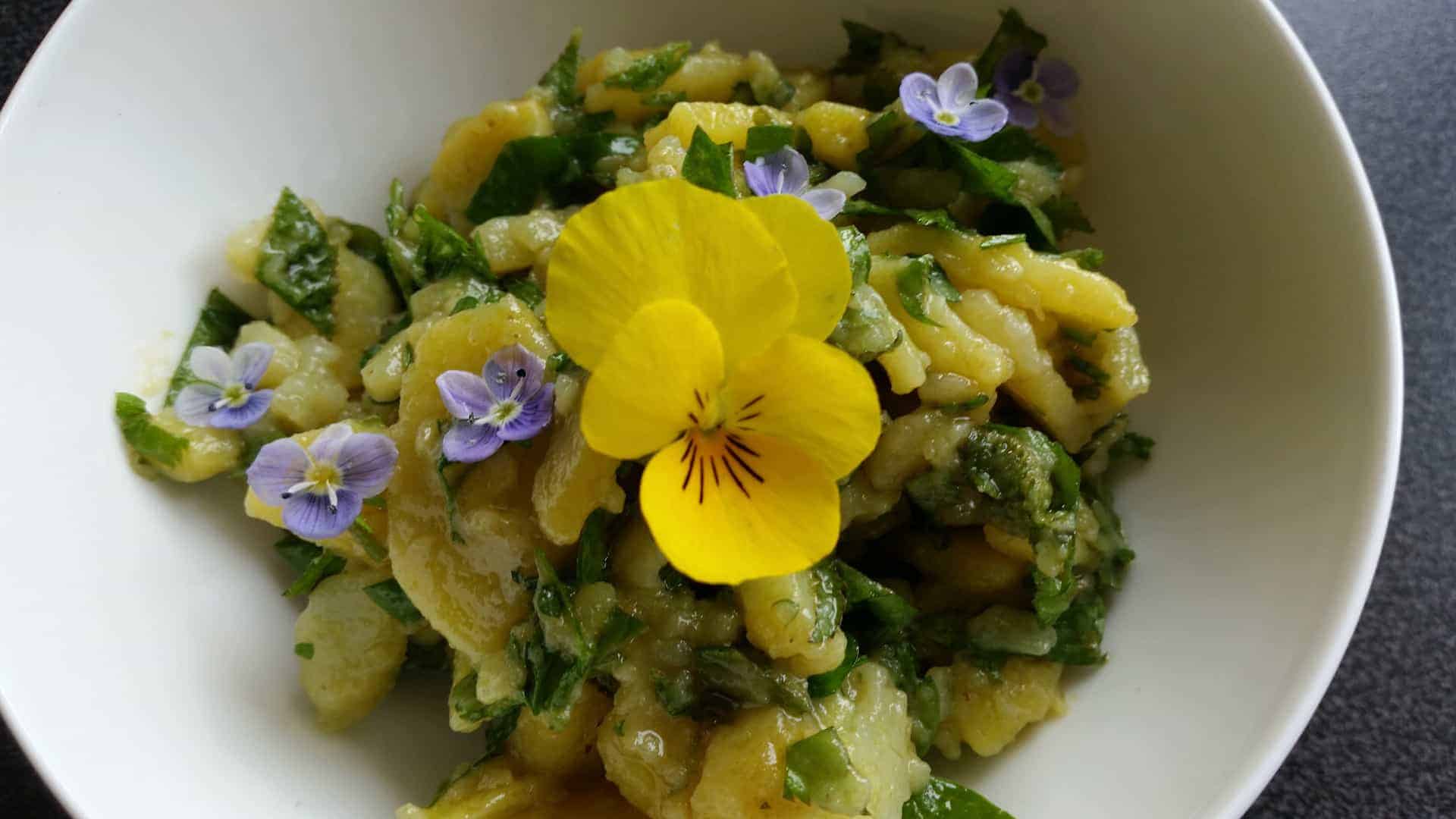 Frühlingskräutersalat bei Salzburg schmeckt