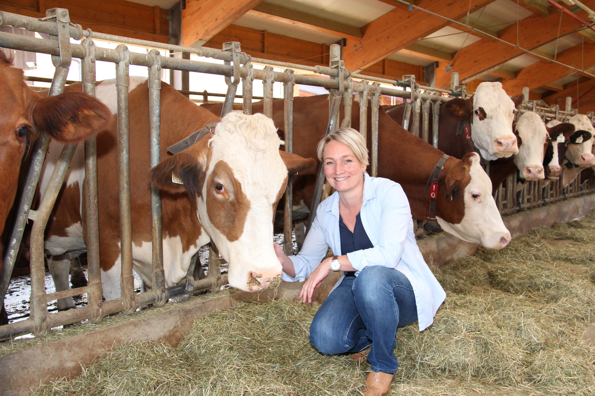 Motzenhof - Sibylle Krispler bei Salzburg schmeckt