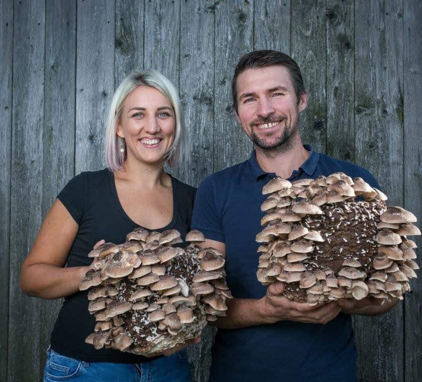 Flachgauer Biopilze bei Salzburg schmeckt