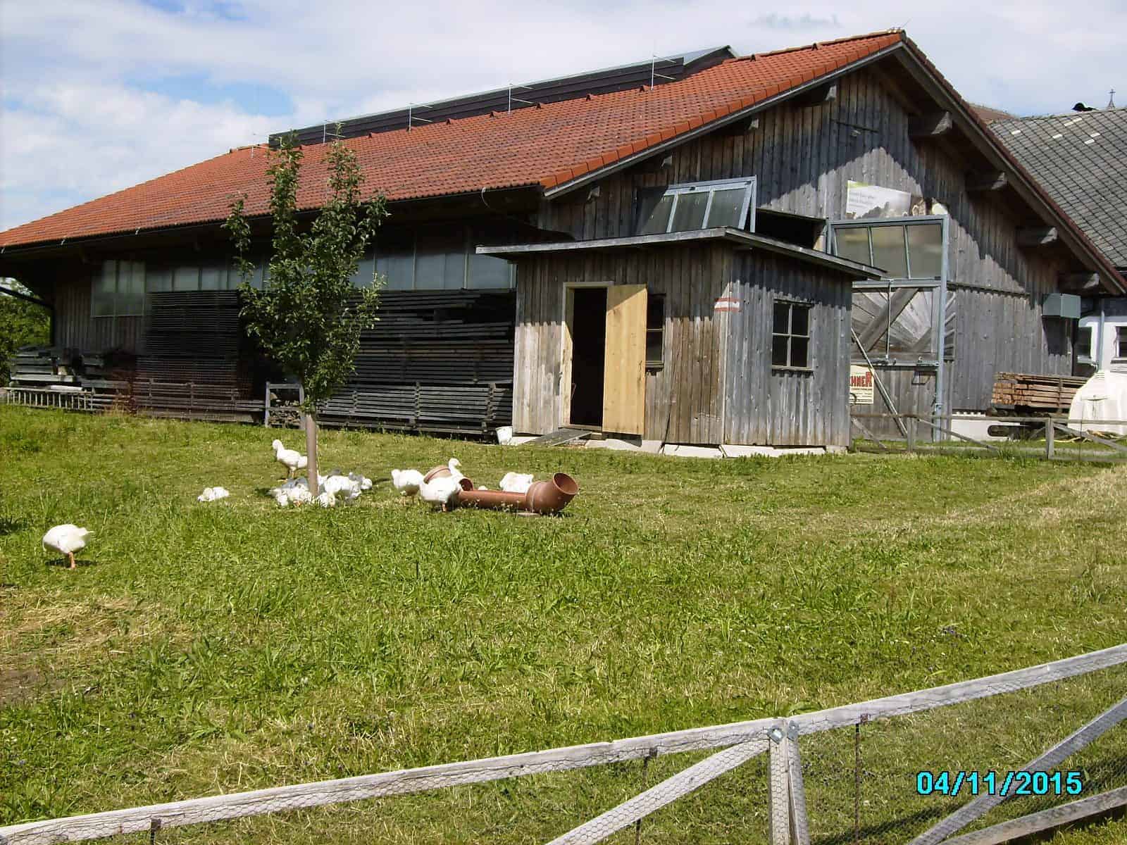 Hölzlbauer – Christine Fuchsberger bei Salzburg schmeckt