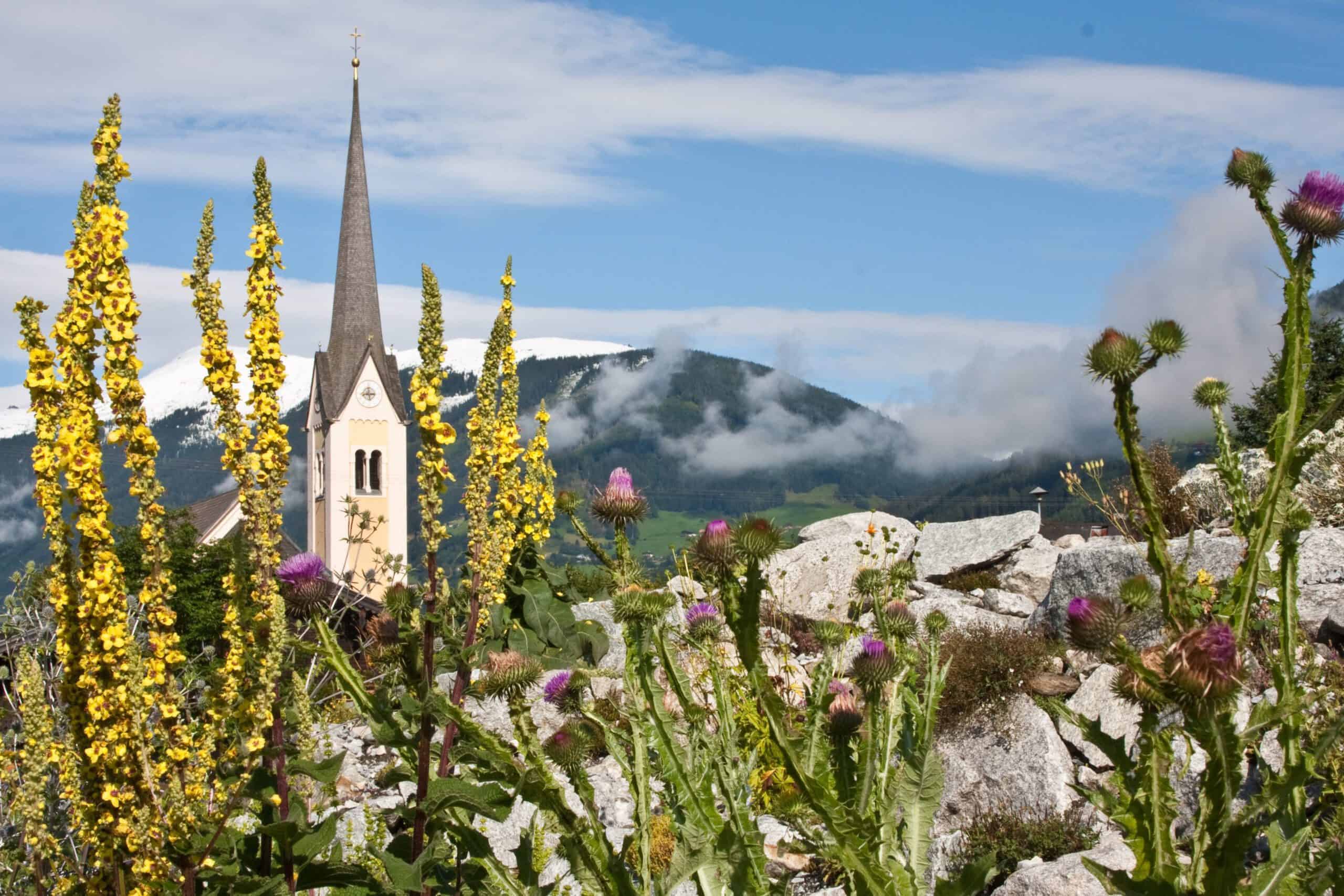 Hollersbacher Kräutergarten bei Salzburg schmeckt