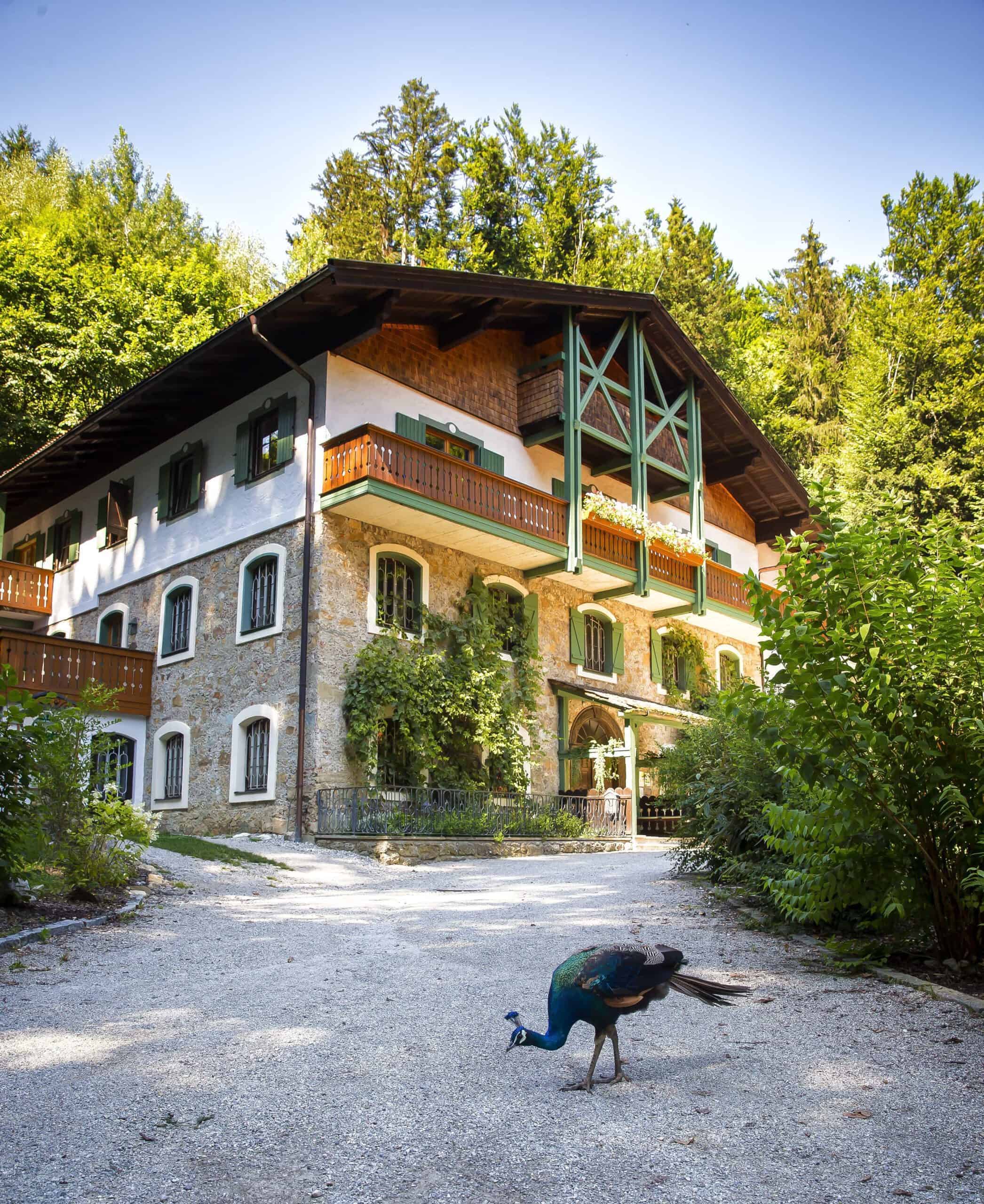 Naturidyll Hotel Hammerschmiede bei Salzburg schmeckt