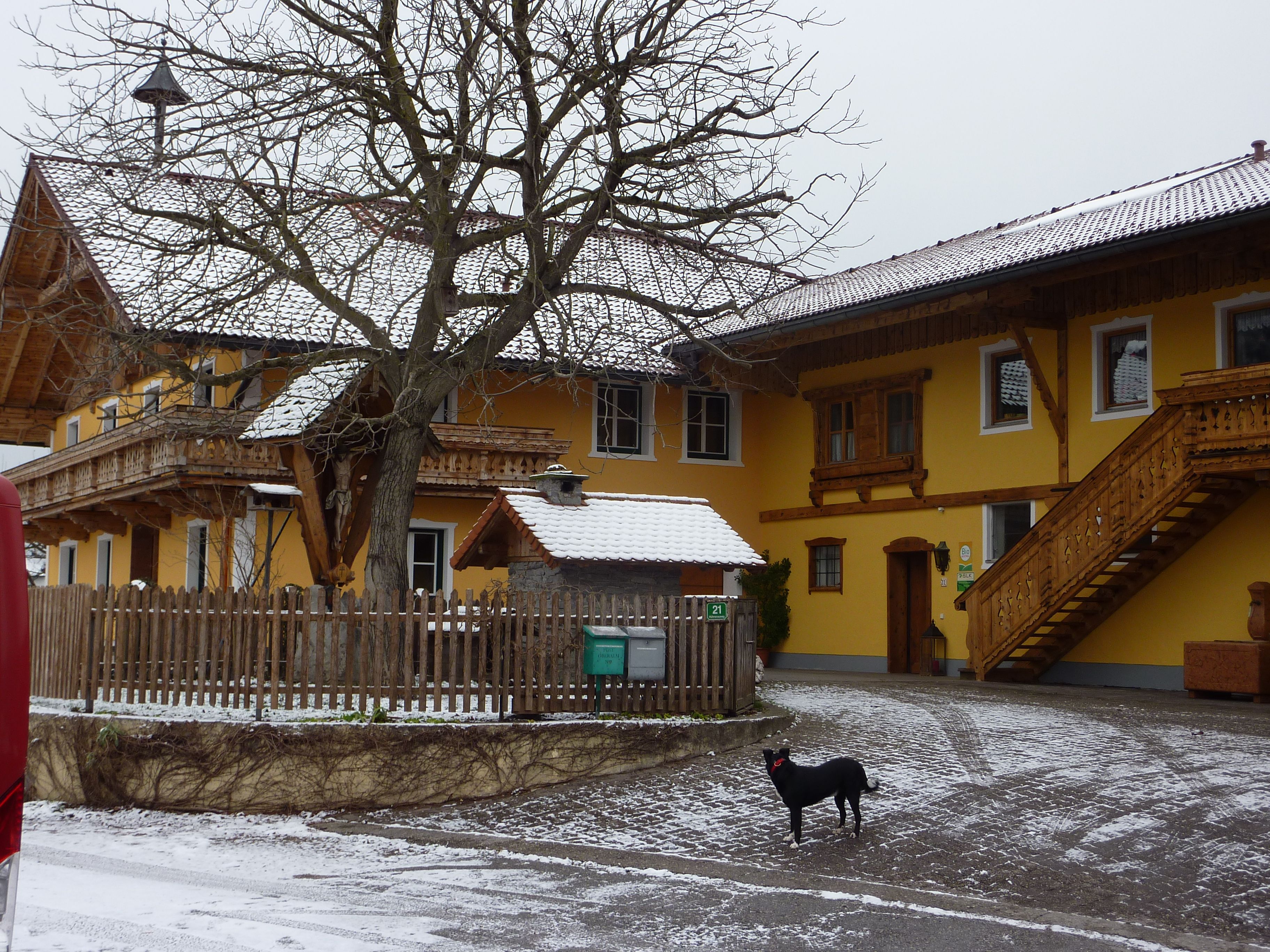 Oberhauser  bei Salzburg schmeckt