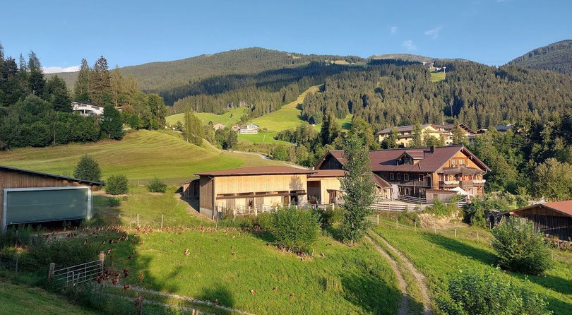 Wagrainer Hühnerdorf Steinbachhof bei Salzburg schmeckt