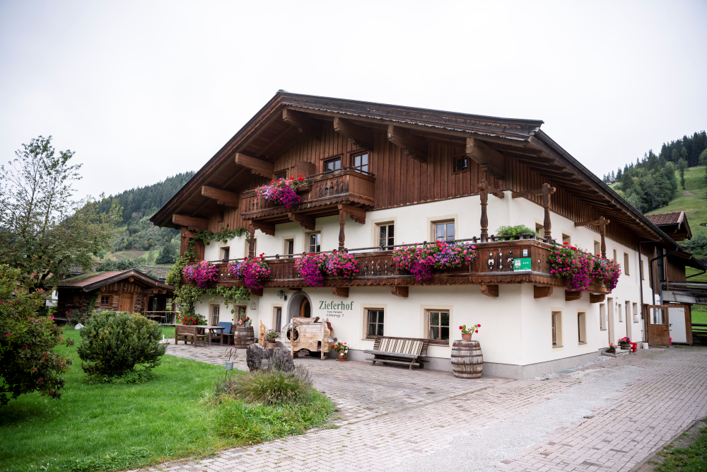 Ziefer's Hofmolkerei  bei Salzburg schmeckt