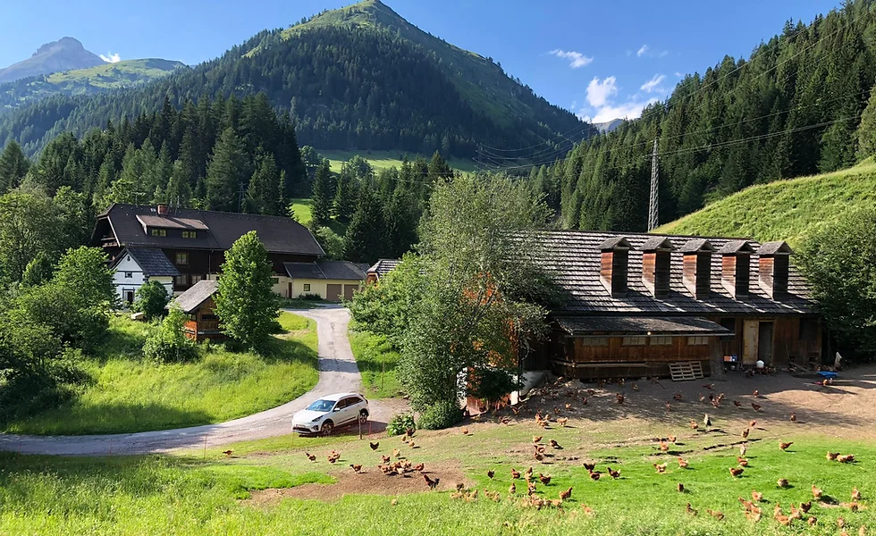 Waldhof Kösslergut bei Salzburg schmeckt