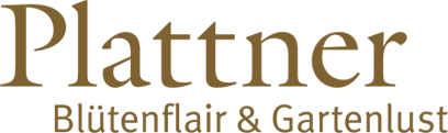 Logo Plattner