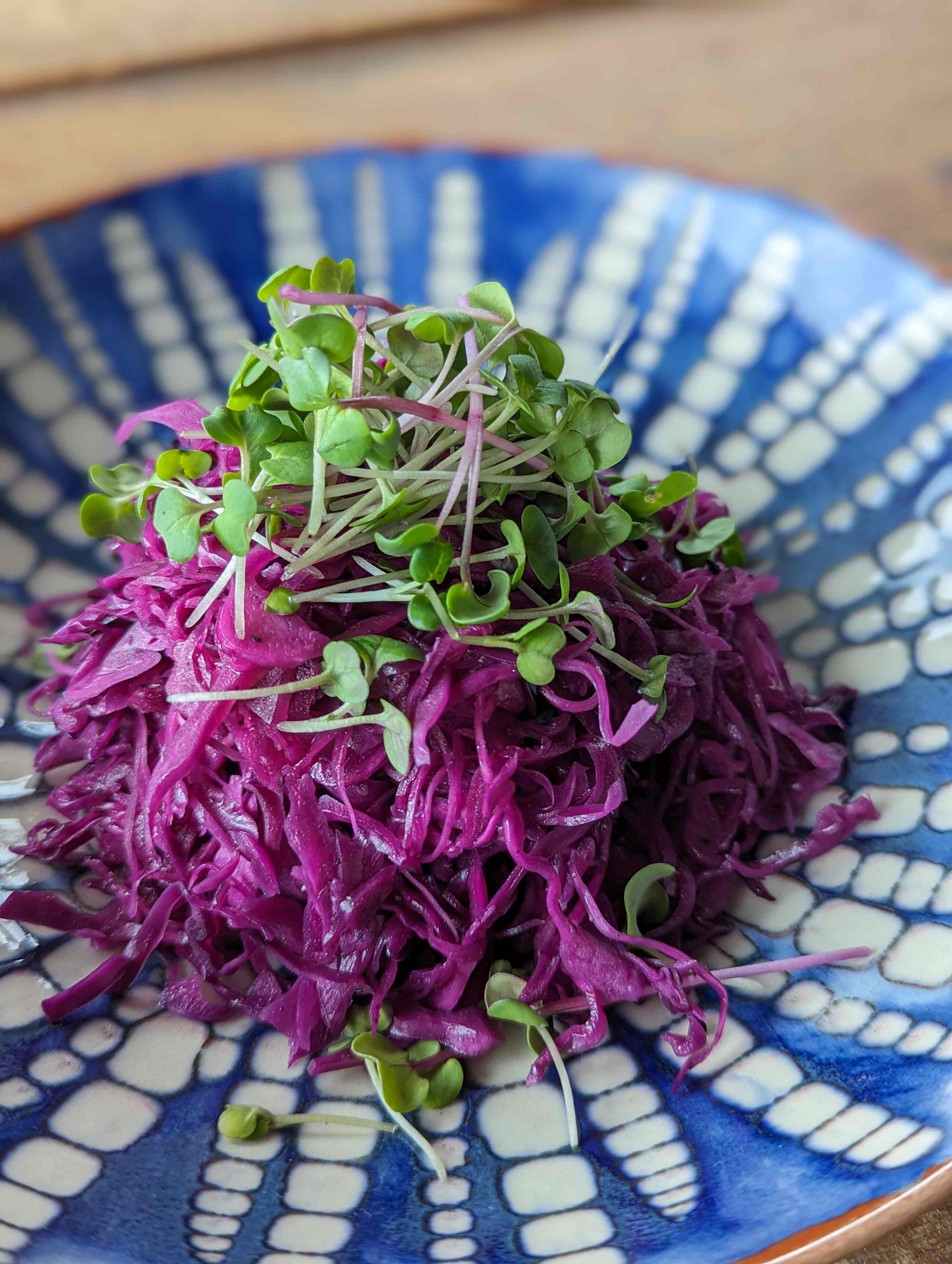 Rotkrautsalat mit Sprossen bei Salzburg schmeckt