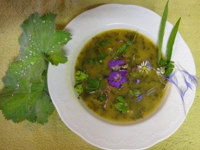 Wildkräutersuppe bei Salzburg schmeckt