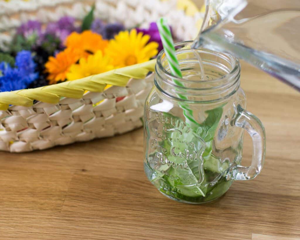 Infused Water - Gurke-Zitronenverbene bei Salzburg schmeckt