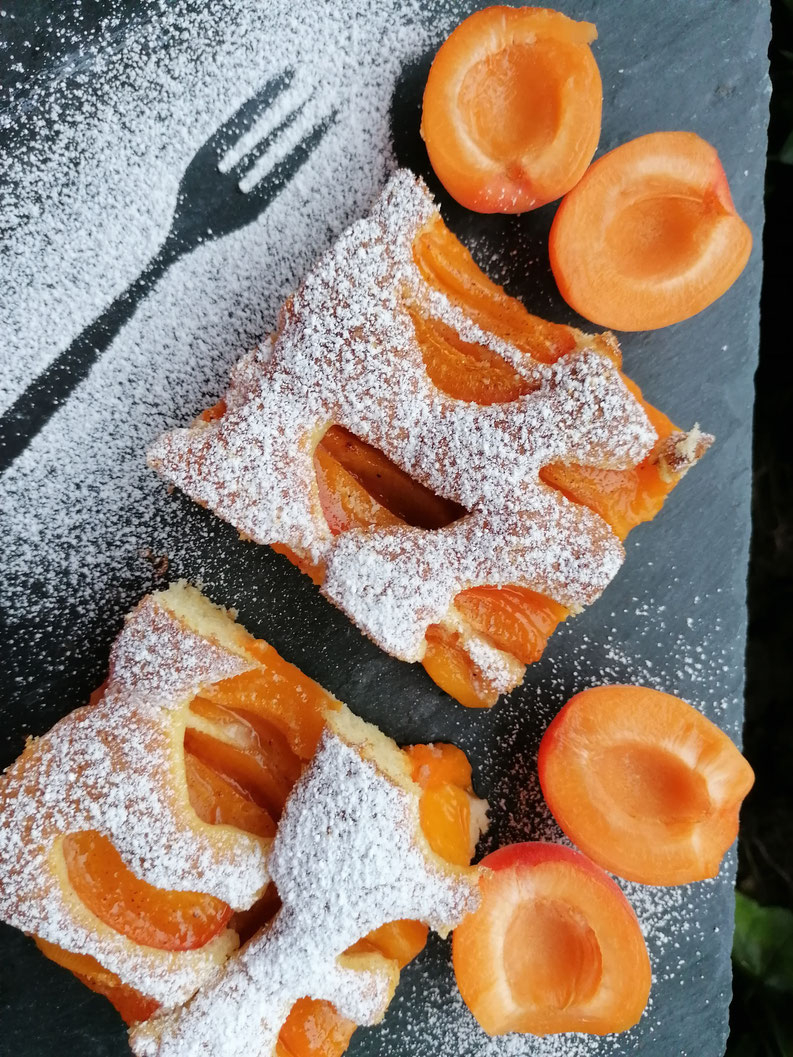 Marillenkuchen bei Salzburg schmeckt