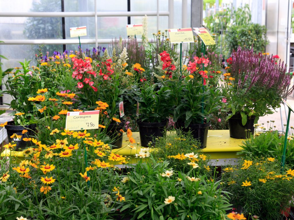 TRAPP Die Blumen- & Gartenwelt bei Salzburg schmeckt