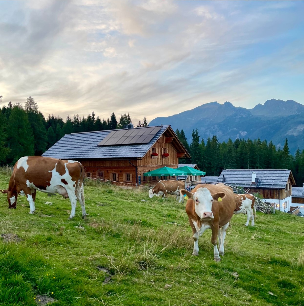 Kräutlhütte - Paul Schreilechner bei Salzburg schmeckt