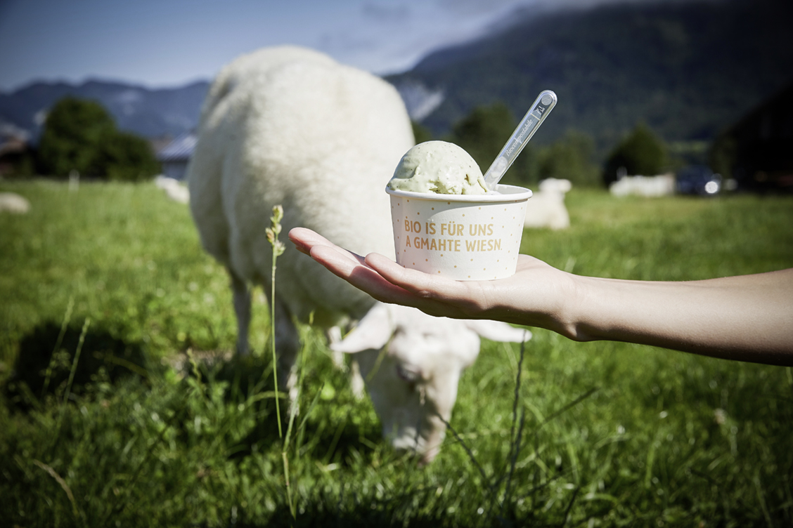Schafmilch Eis