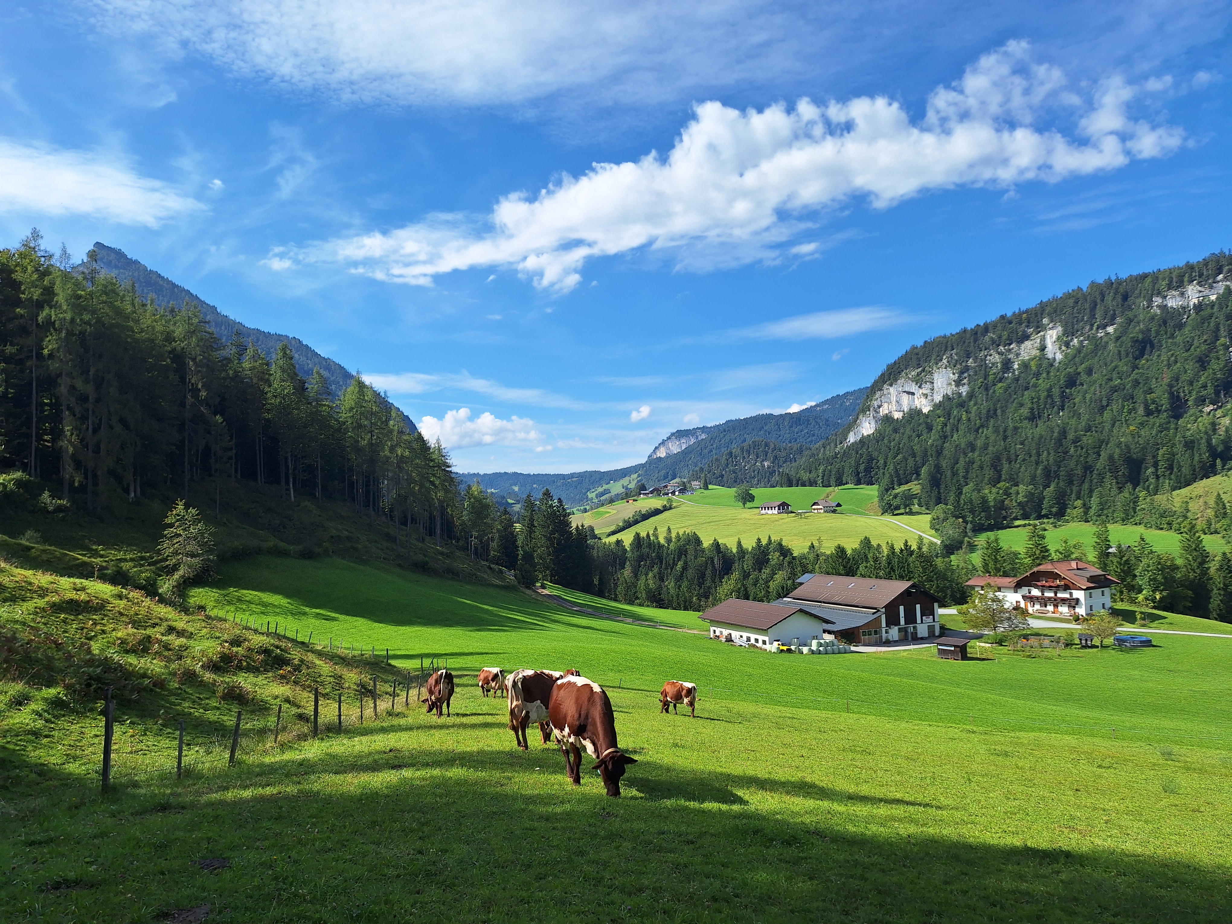 Hasenpoint - Familie Wallinger bei Salzburg schmeckt