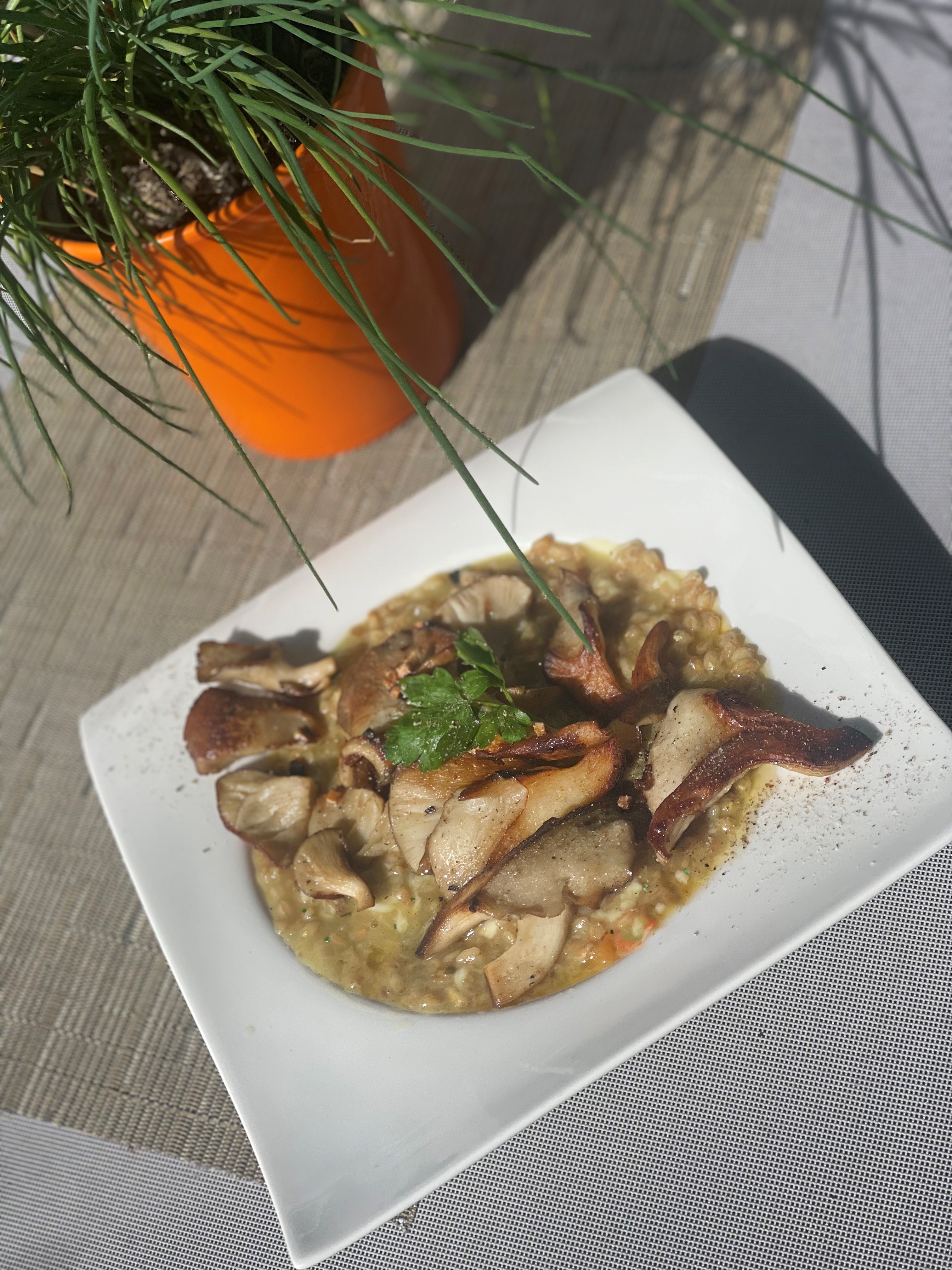 Dinkelreisrisotto mit gebratenen Austernpilzen bei Salzburg schmeckt