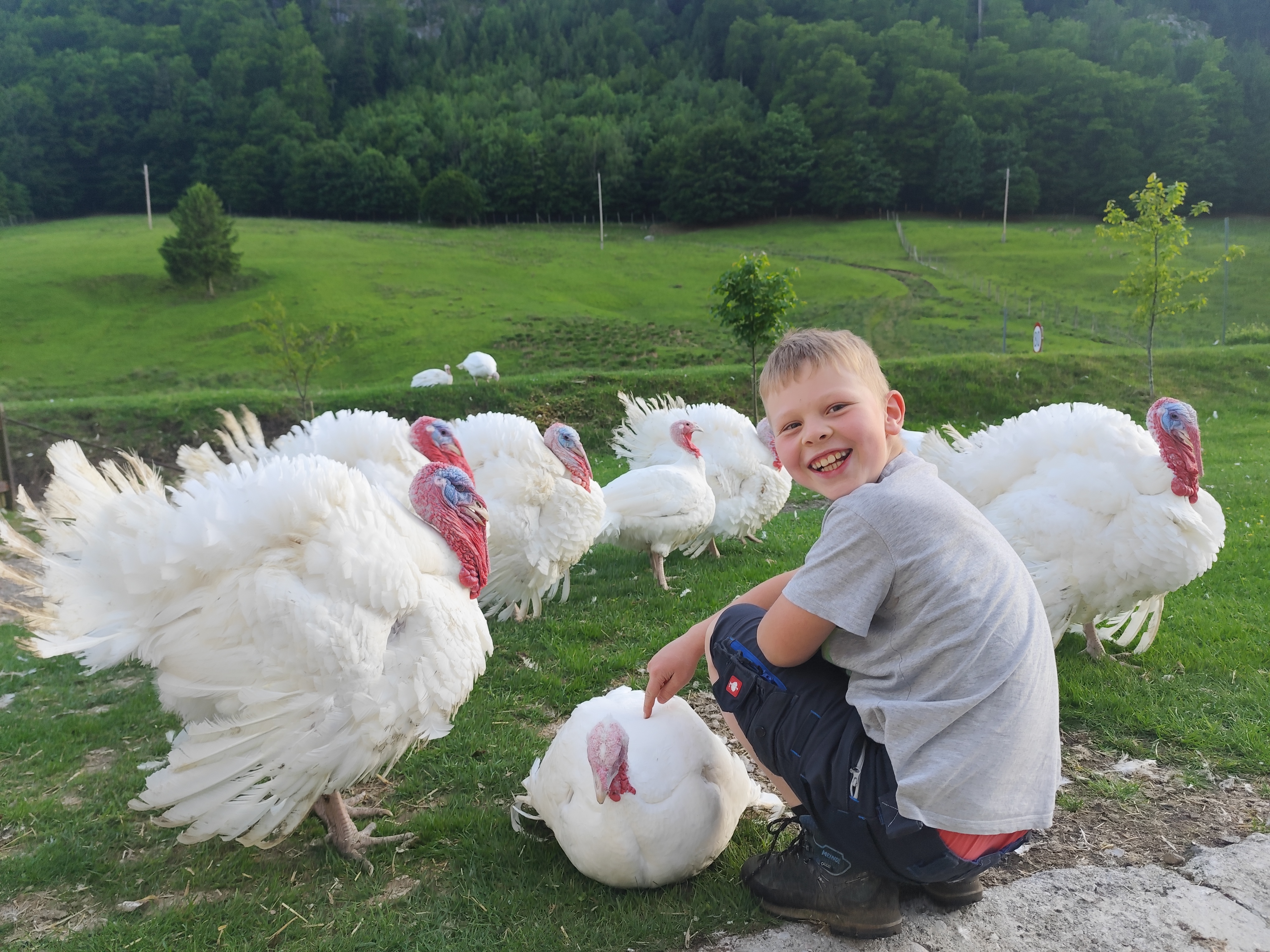Wallnerhof - Putenglück bei Salzburg schmeckt