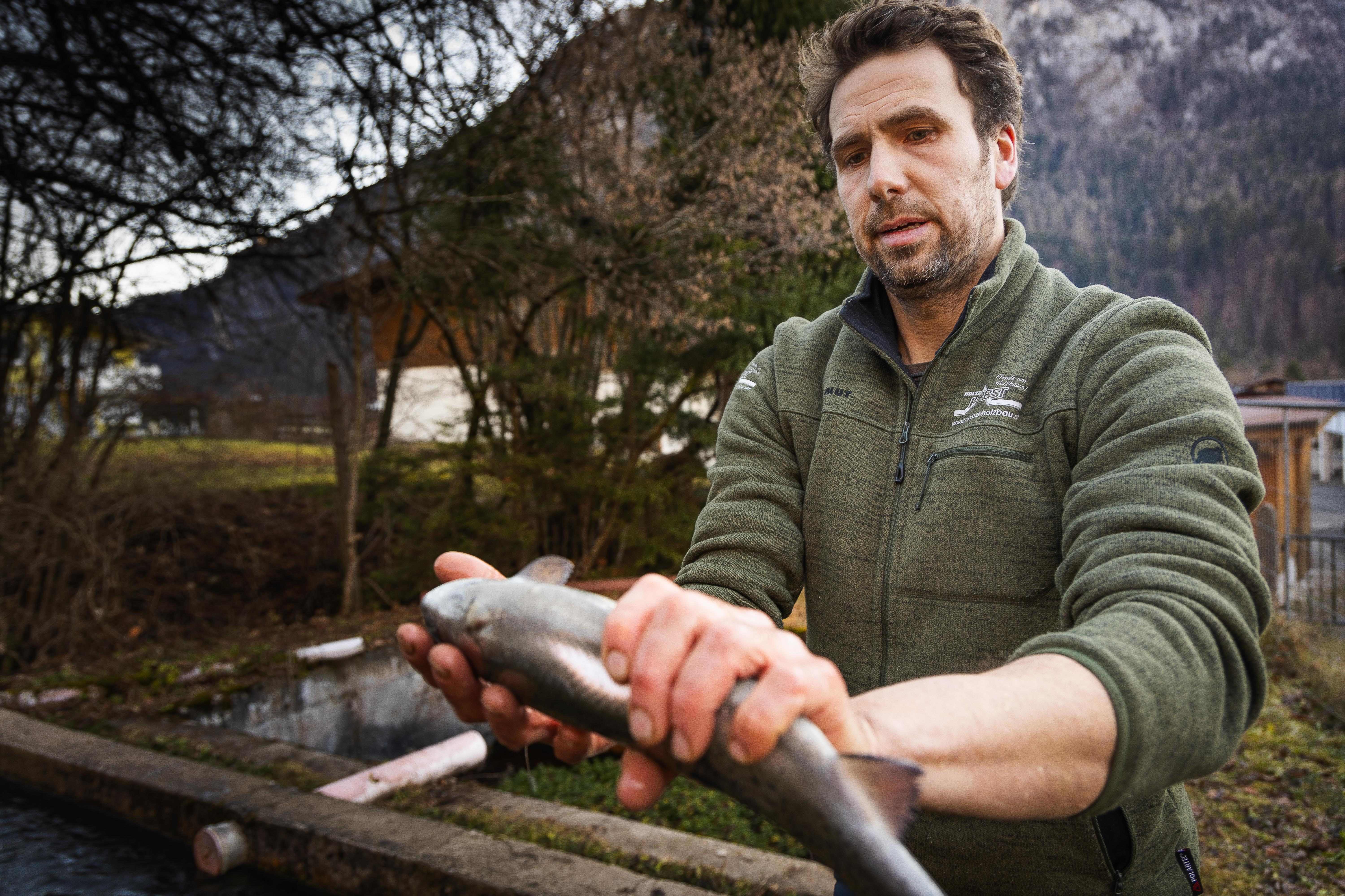 Ennsmanngut - Thomas Willberger bei Salzburg schmeckt