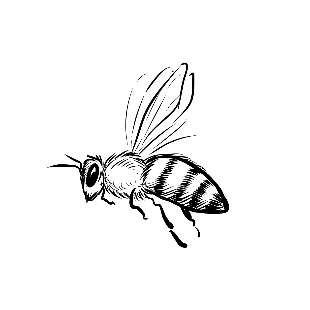 Fallback Biene