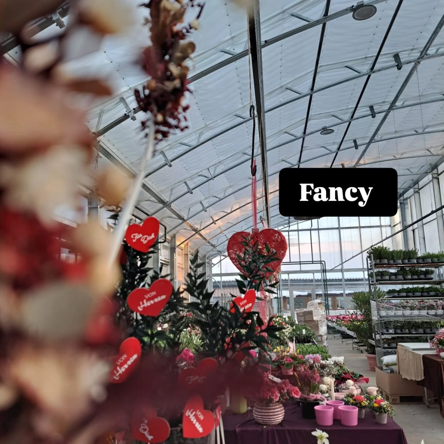 Blumen Harasek bei Salzburg schmeckt