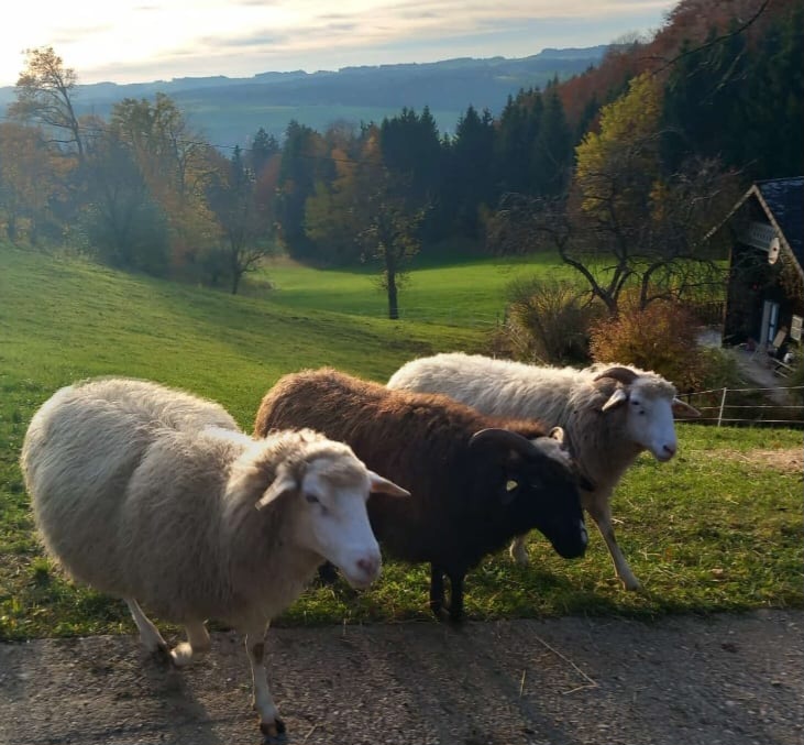 Neubauergütl bei Salzburg schmeckt