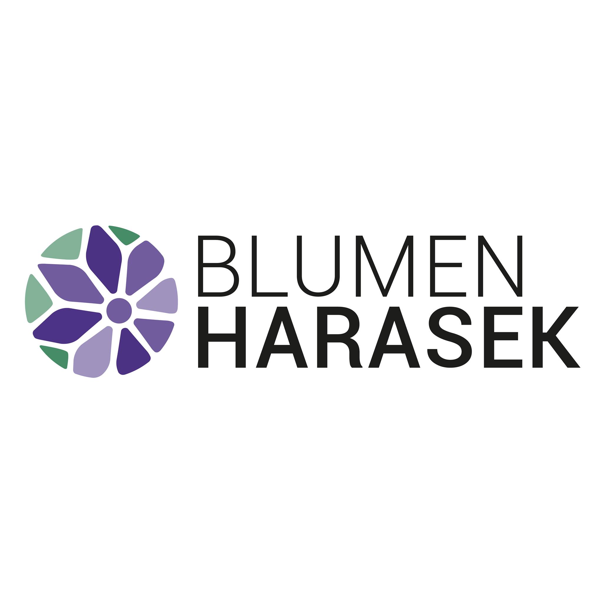 Logo Blumen Harasek in Seekirchen