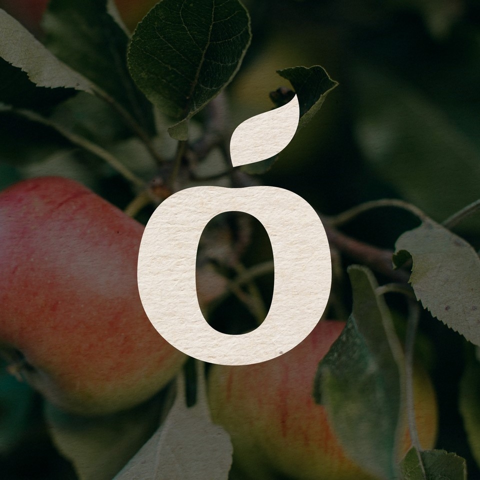 Mosterei Loaster aus Seekirchen Most und Fruchtsäfte