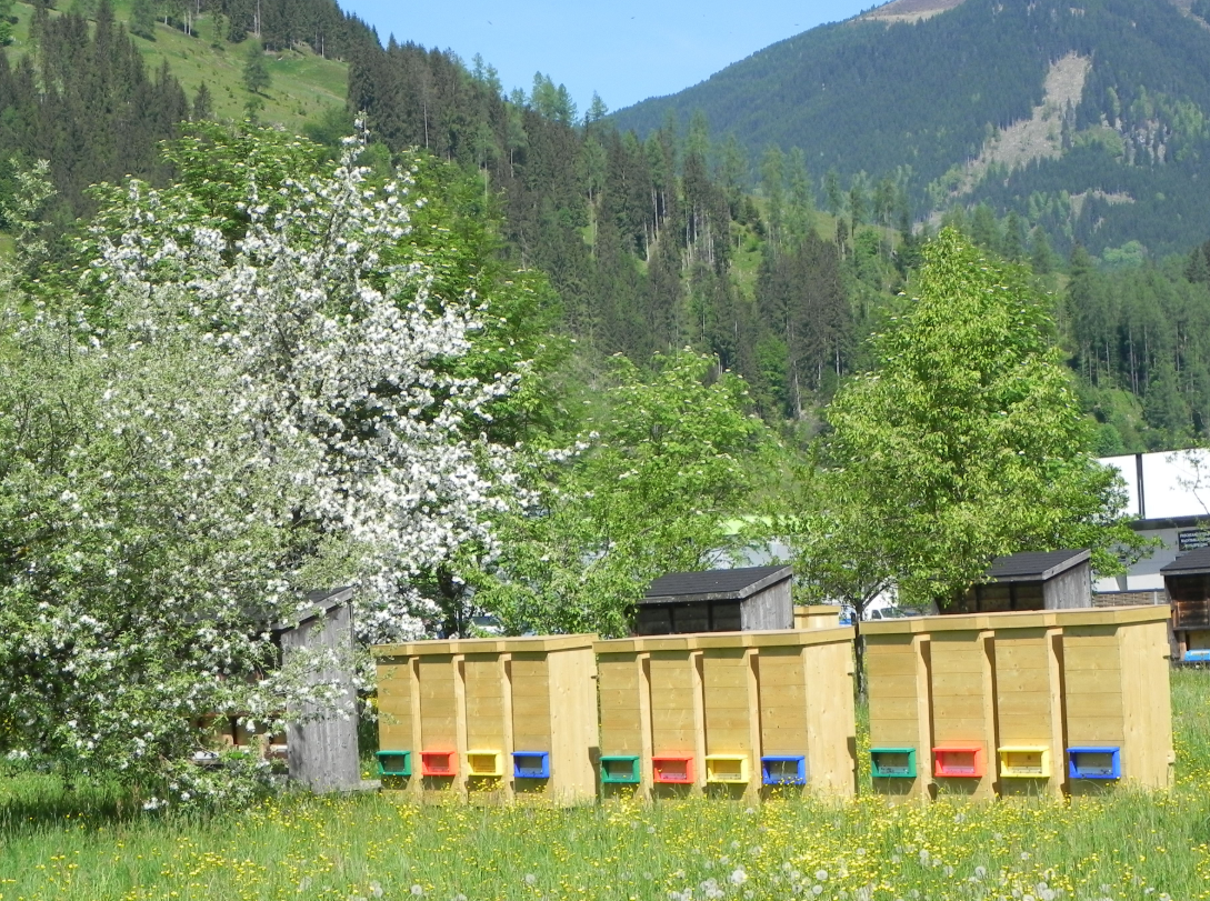 Bio-Imkerei Herzog - Angelika Schukraft bei Salzburg schmeckt
