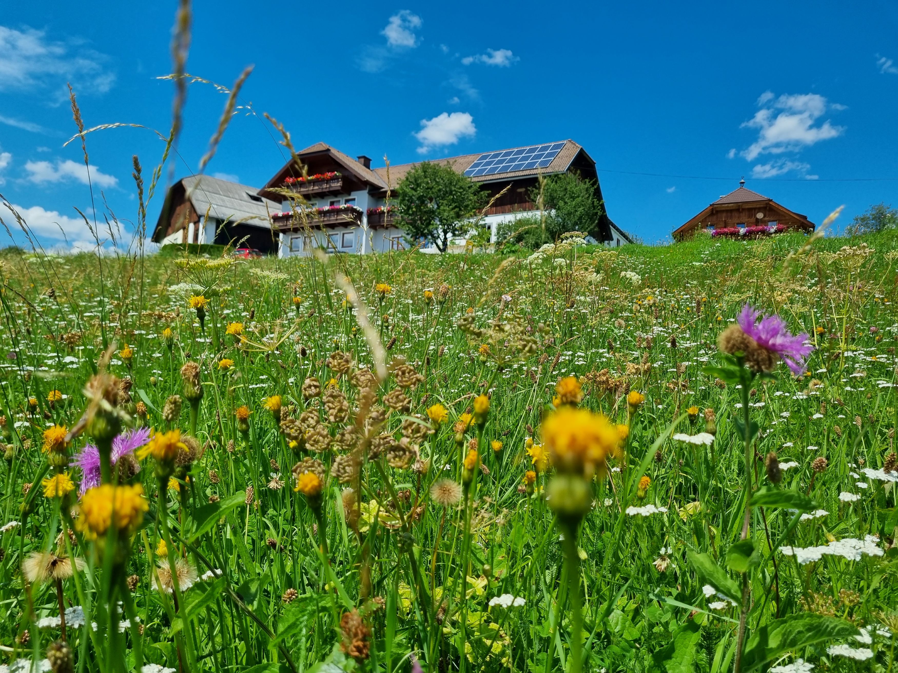 Weberhof bei Salzburg schmeckt