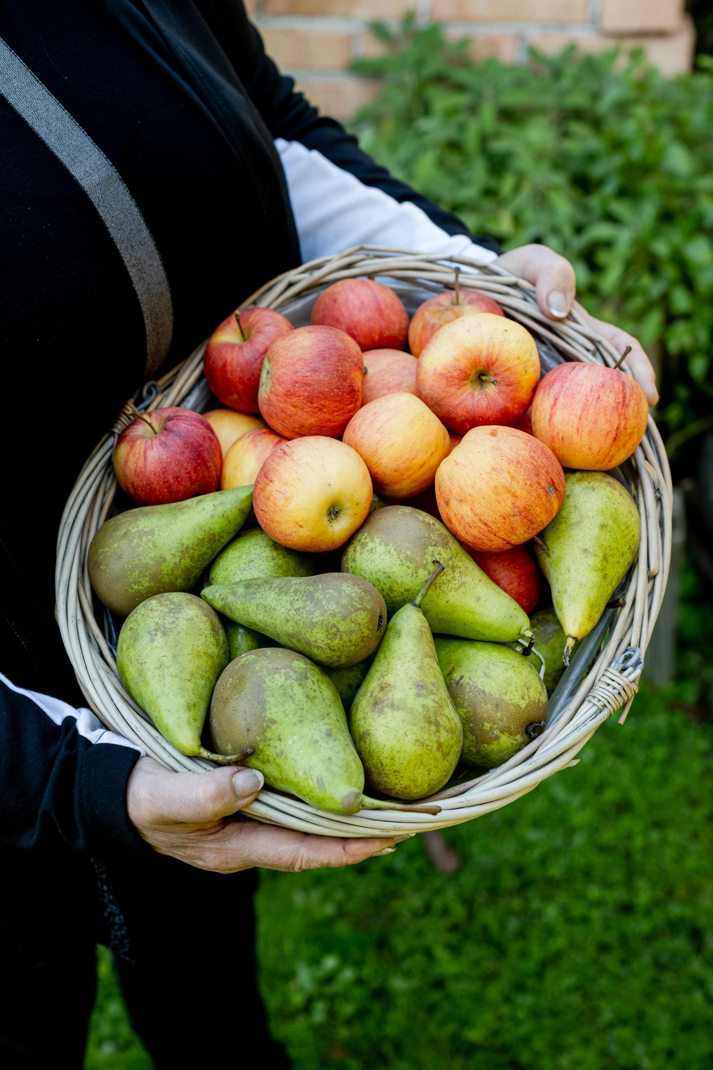 Äpfel und Birnen aus Salzburg