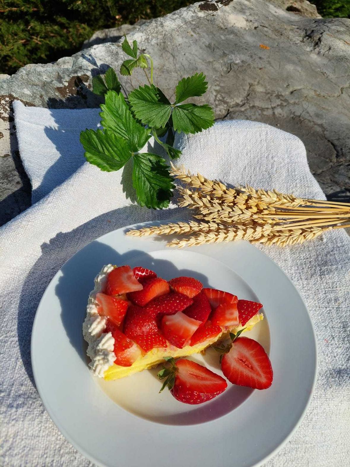 Zillertaler Erdbeertorte bei Salzburg schmeckt