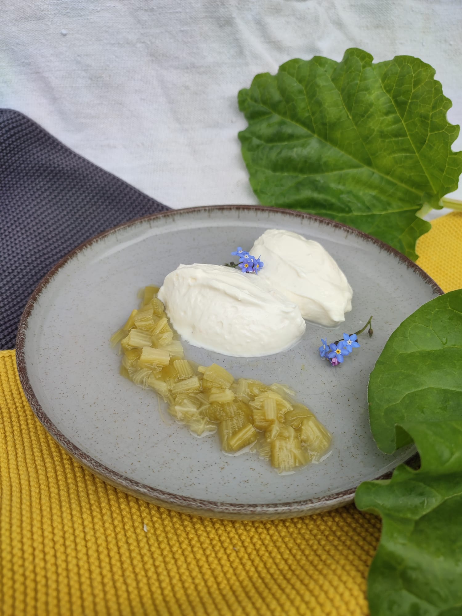 Topfen Joghurt Nockerl mit Rhabarberspiegel bei Salzburg schmeckt
