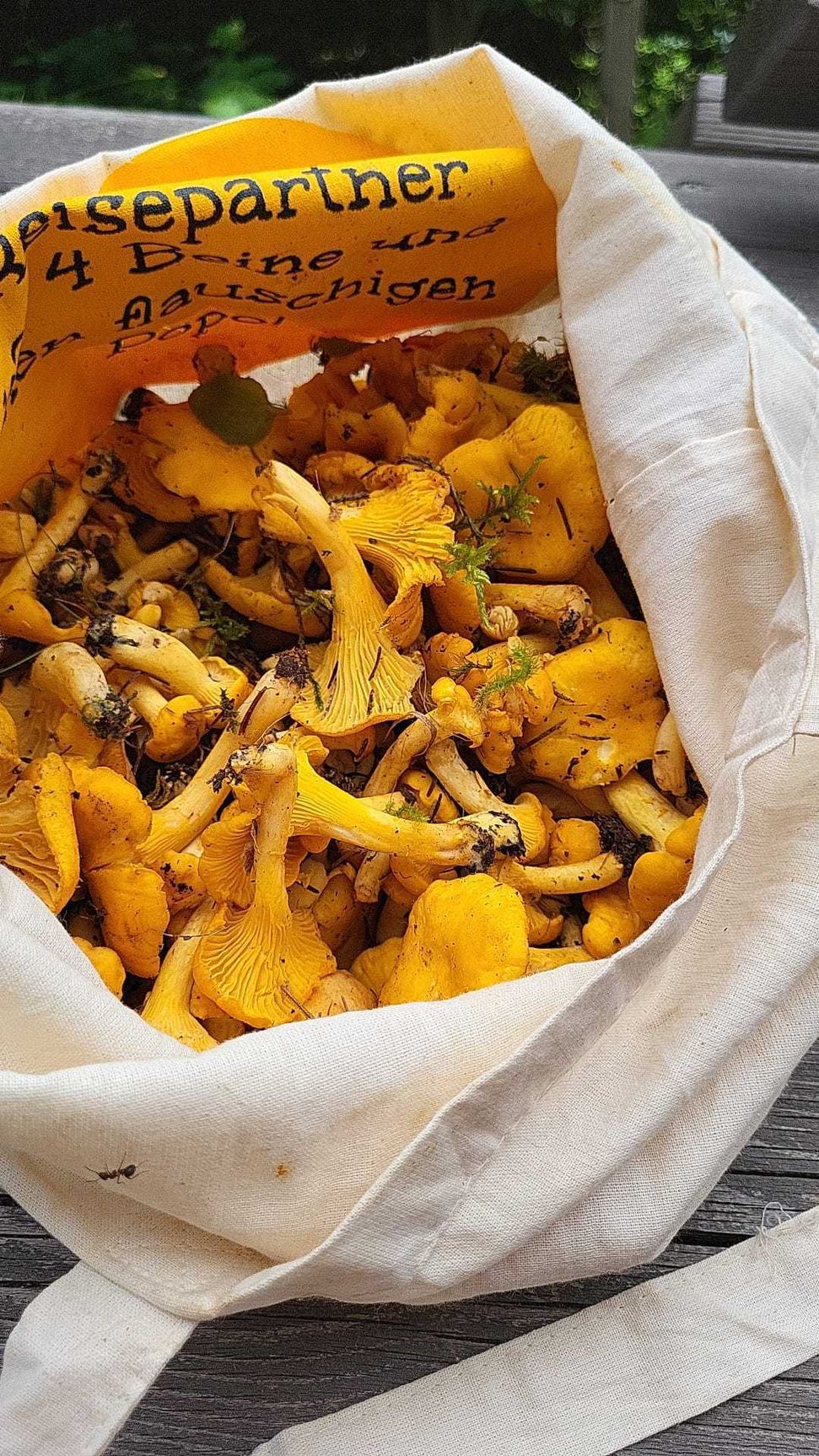 Quiche mit Eierschwammerl bei Salzburg schmeckt