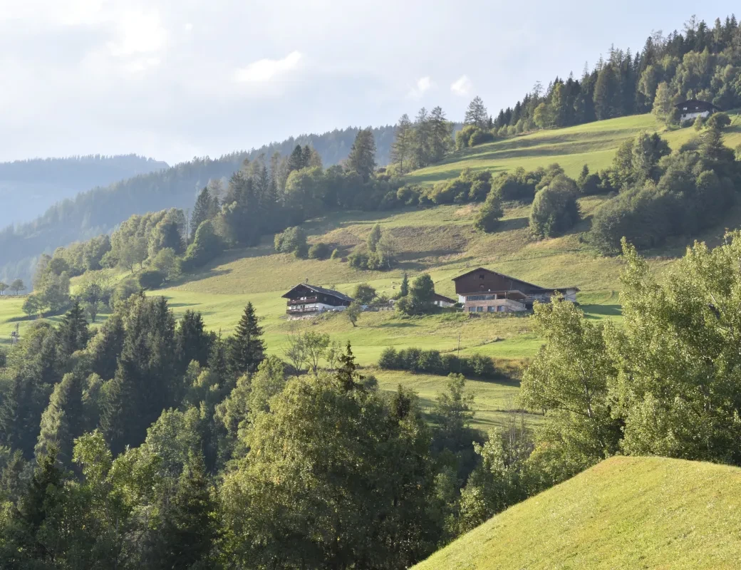 Wiesberghof Niedernsill in Alleinlage