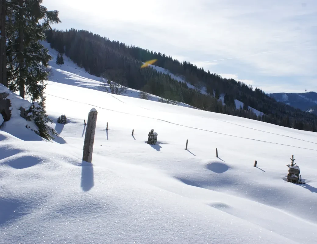 Winterlandschaft bei den Hofalmen in Filzmoos