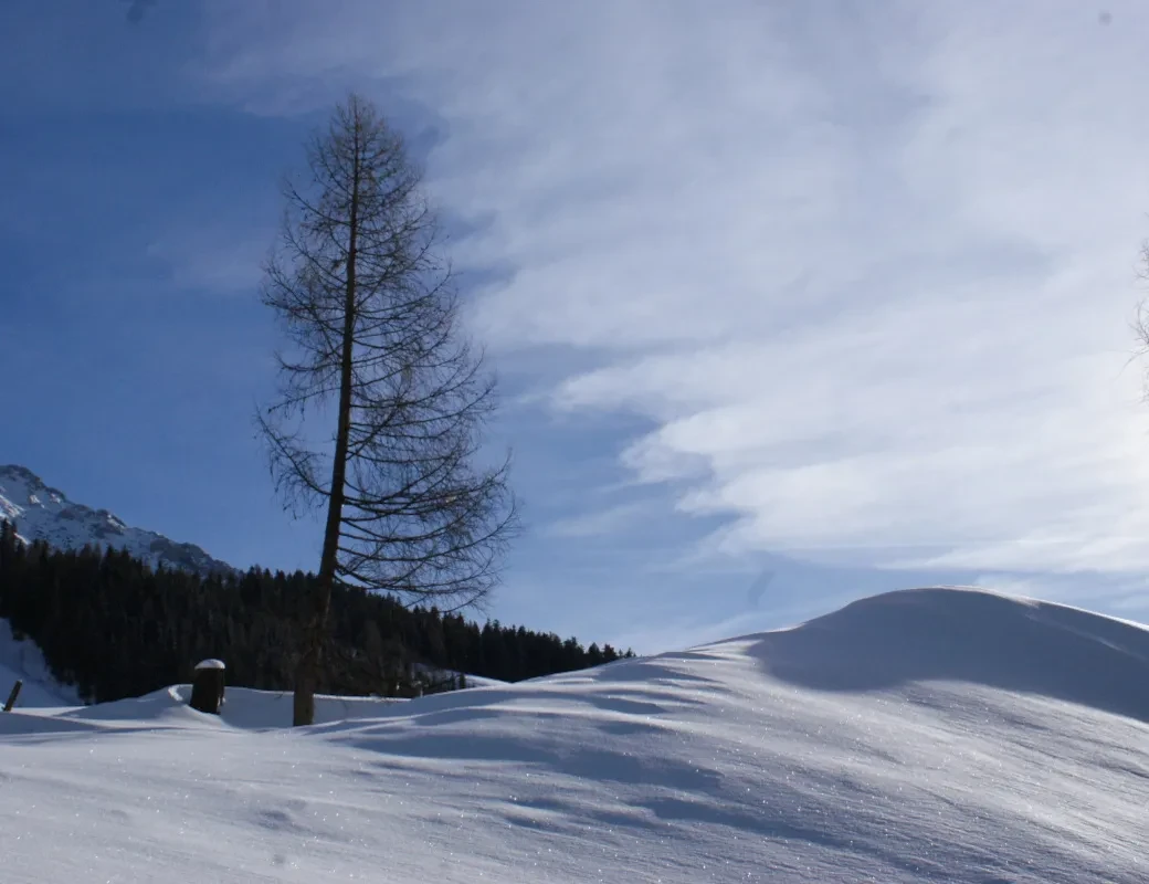 Tief verschneite Landschaft in Filzmoos