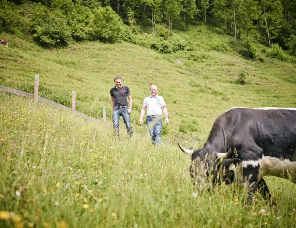 Bernd Fürstauer mit Klaus Rathgeb auf der Weide