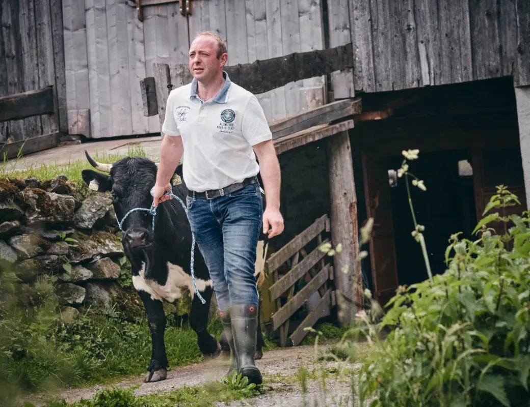 Metzgerei Fürstauer_Klaus Rathgeb mit Rind