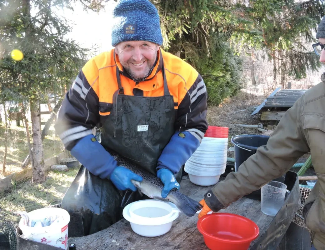 Stefan Magg beim Kaviar Abstreifen