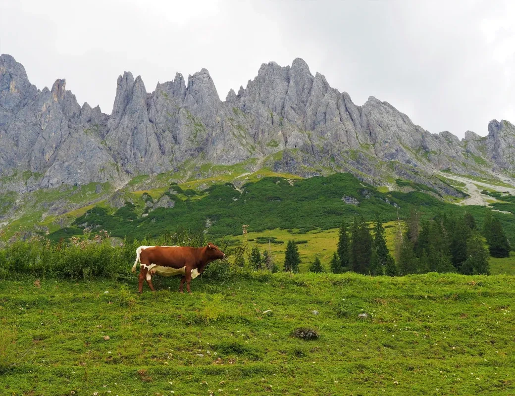 Schweizerhütte_Hochkönigmassiv