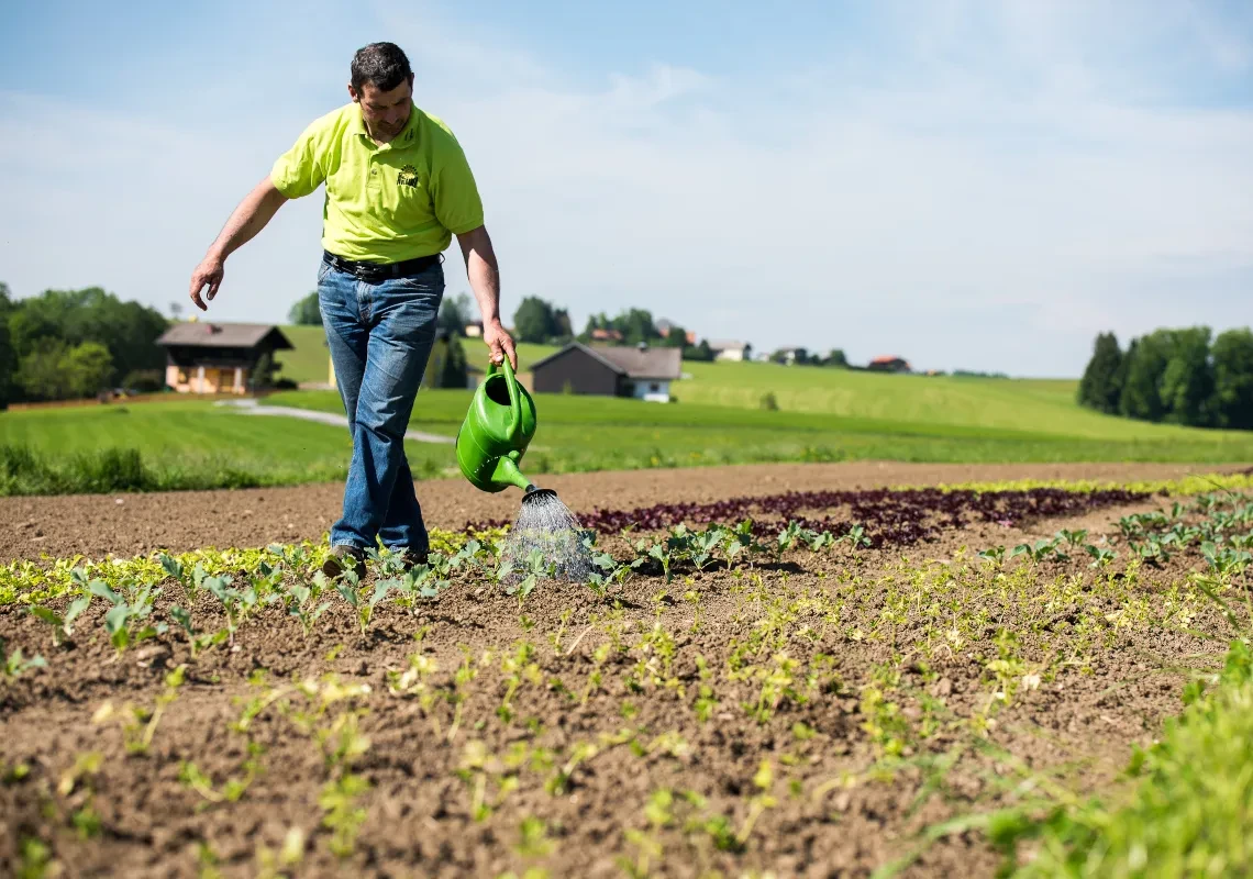 Joglbauer Robert Hofer beim Gießen am Feld