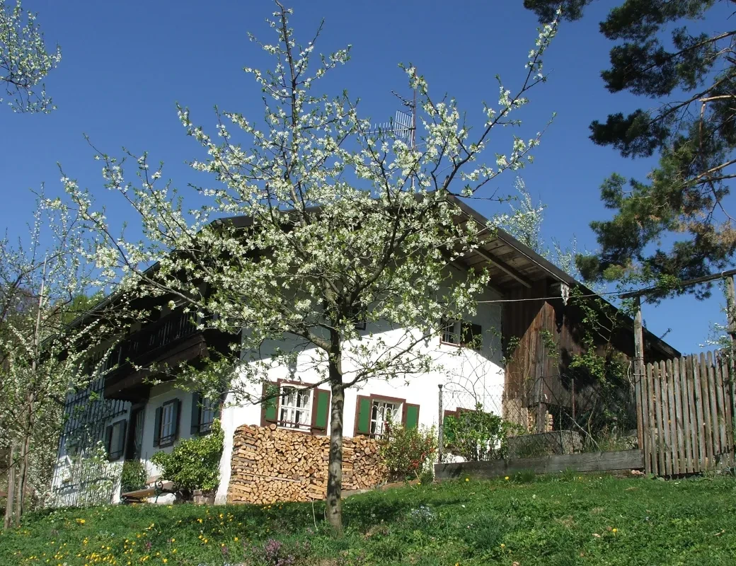 Eders Edelabfüllung_Blühender Obstbaum