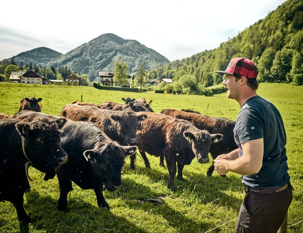 Biofarm Teufl_Andreas Teufl mit seinen Galloways