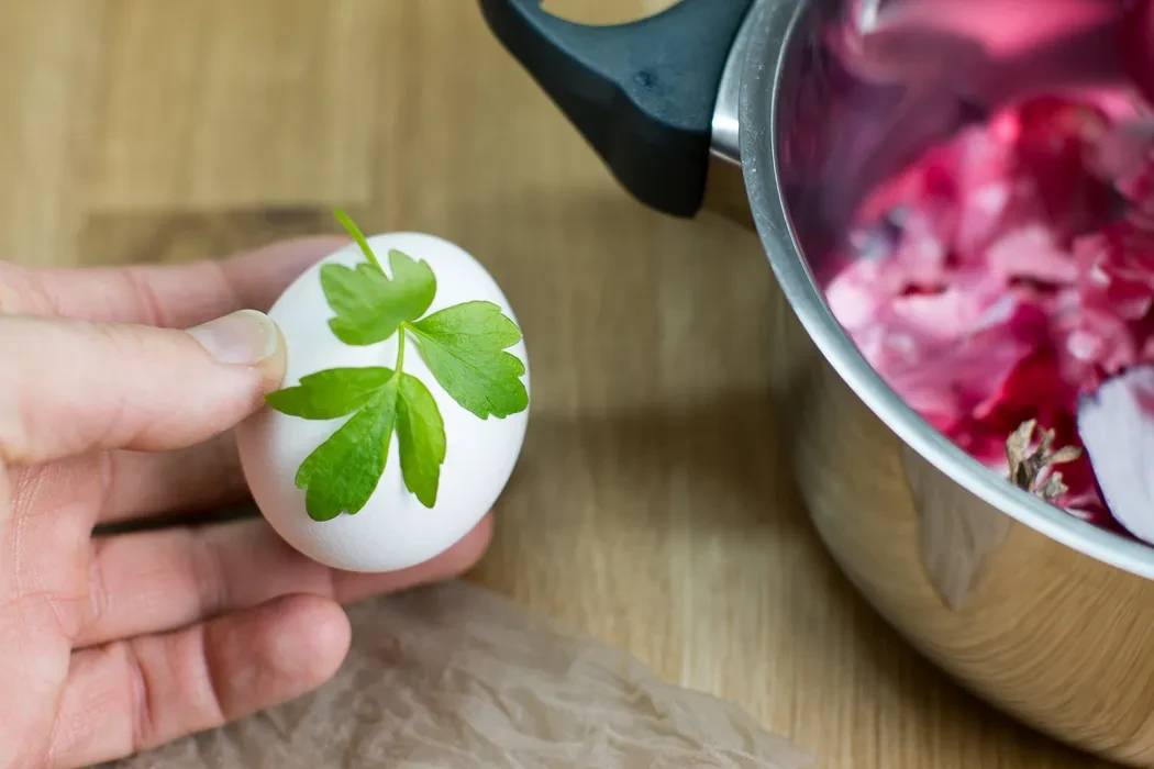 Eier mit Kräutern dekorieren