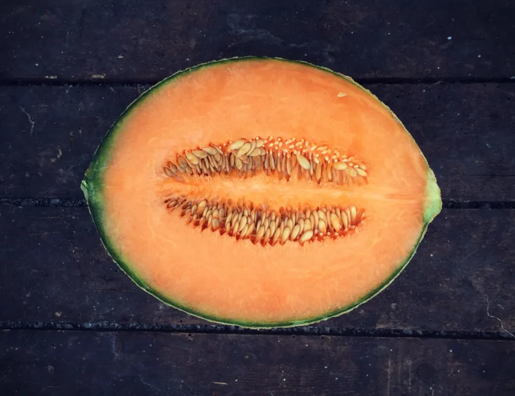 Honigmelone