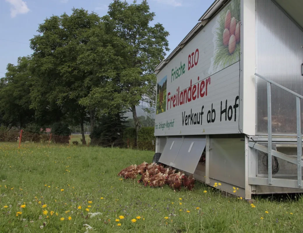 Biohof Mayrhof Vigaun_mobiler Hühnerstall